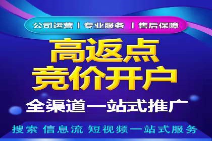 某科技公司的信息流广告投放策略与效果评估